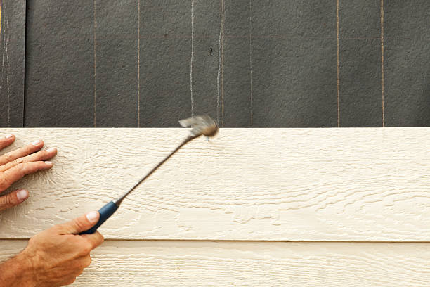 Best Vinyl Siding Installation  in Grizzly Flats, CA